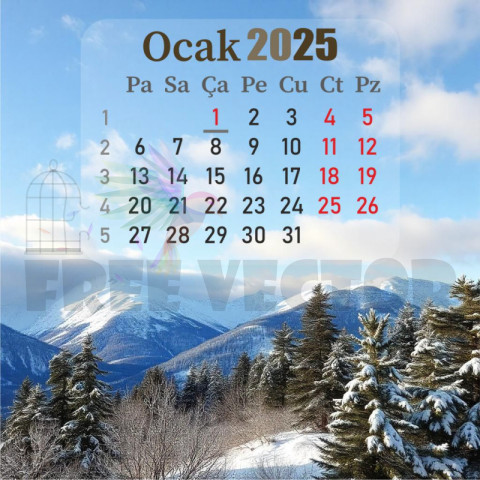 ocak 2025 takvim