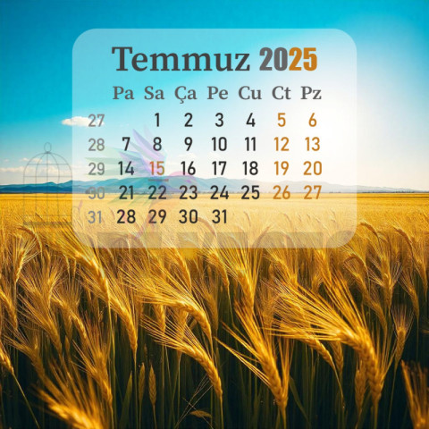 Temmuz 2025 Takvim